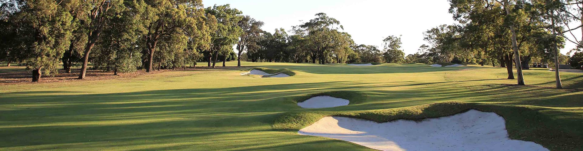 Aerial view of Concord Golf Club golf course in Concord, NSW