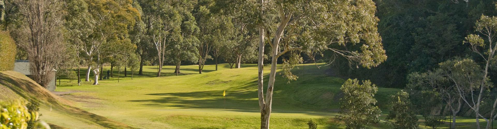 Lane Cove Golf Club