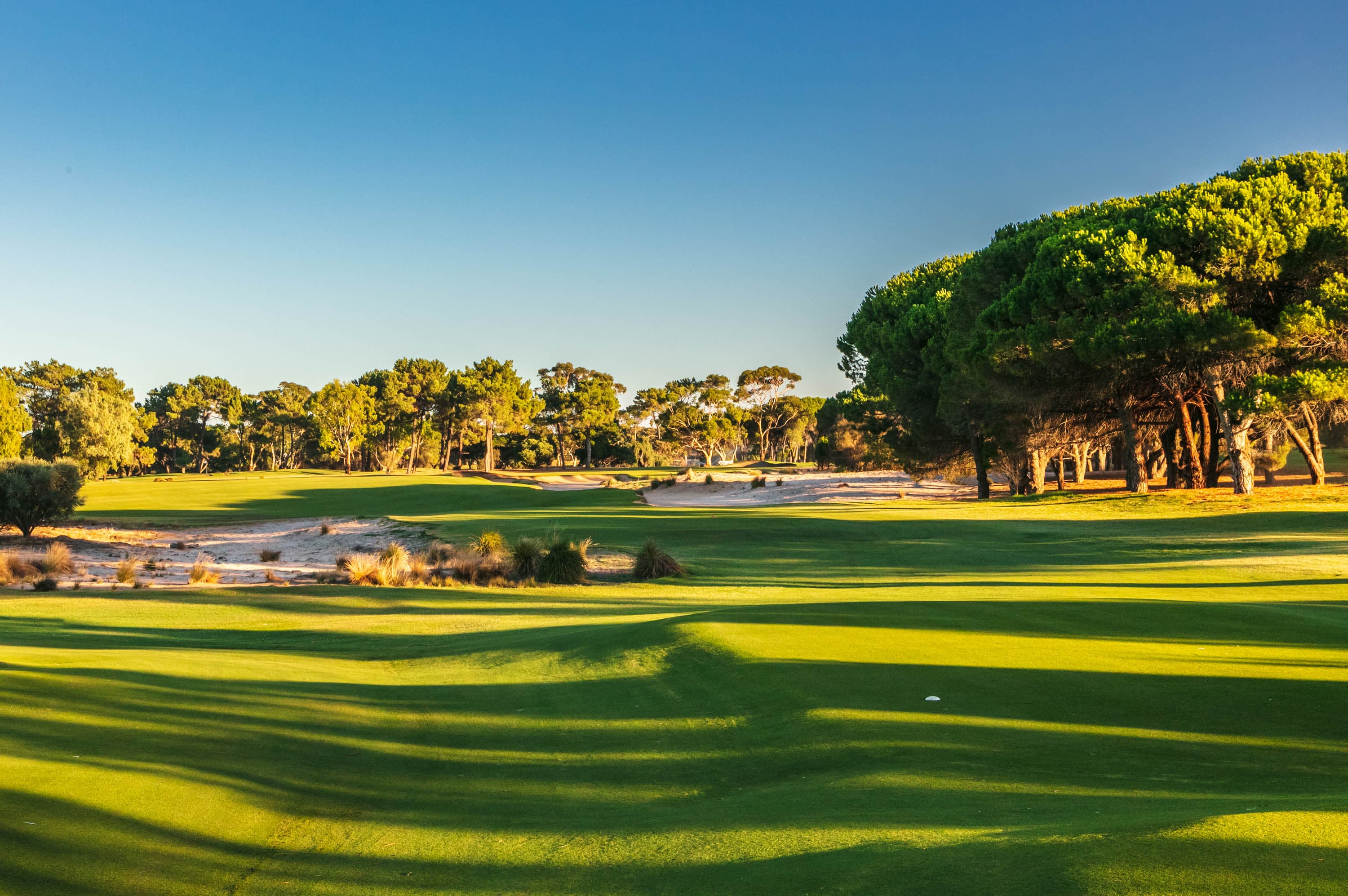 The Grange Golf Club hero