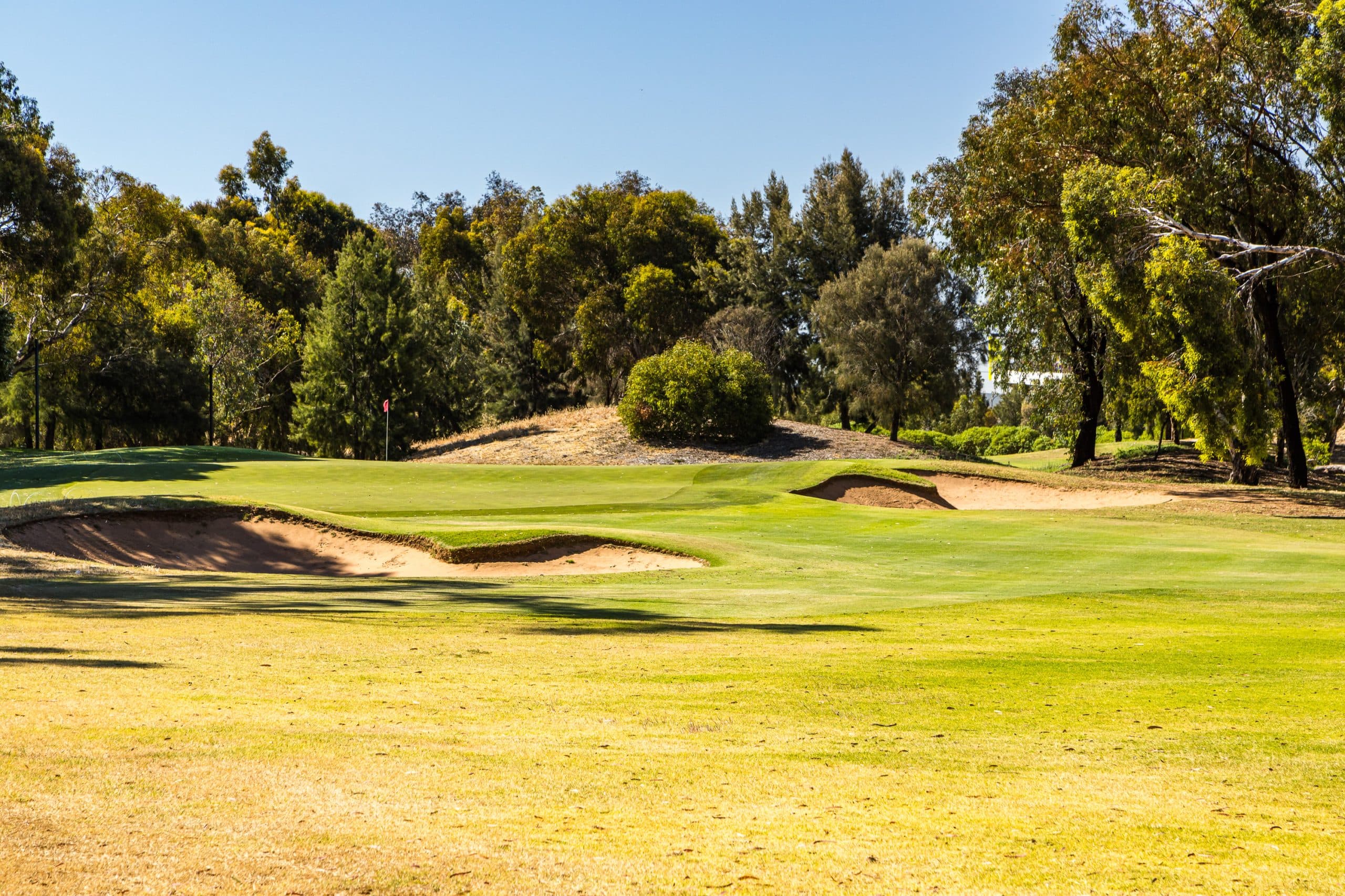 Regency Park Community Golf Course
